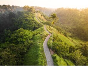 {{brizy_dc_image_alt entityId=