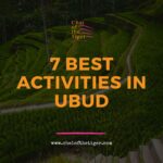 Best Activities In Ubud