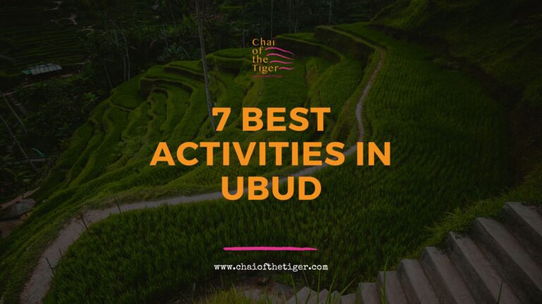 Best Activities In Ubud