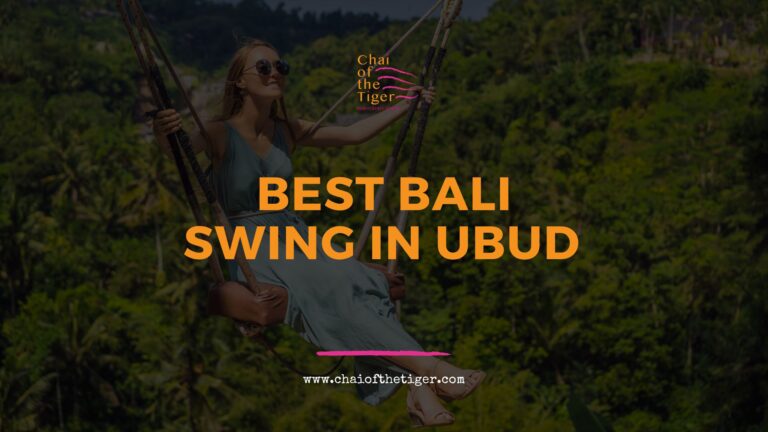 Best Bali Swing In Ubud