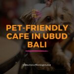 Pet-Friendly cafe in Ubud Bali