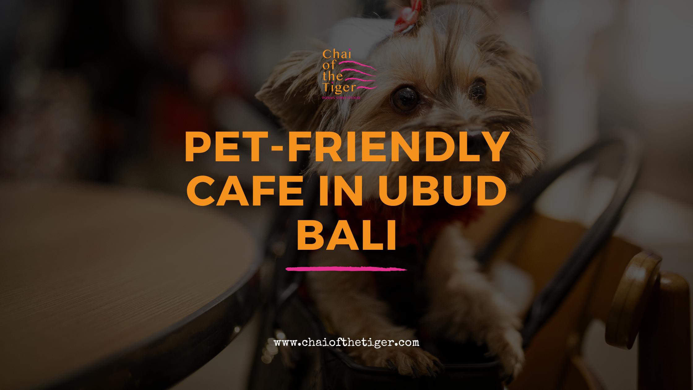 Pet-Friendly cafe in Ubud Bali