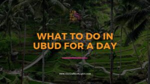 What to Do in Ubud for a Day