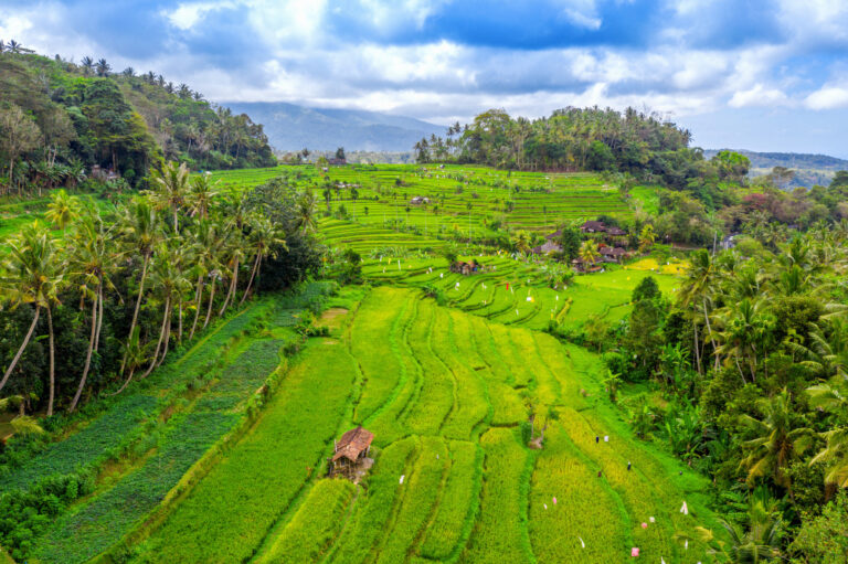 ubud tourist attractions