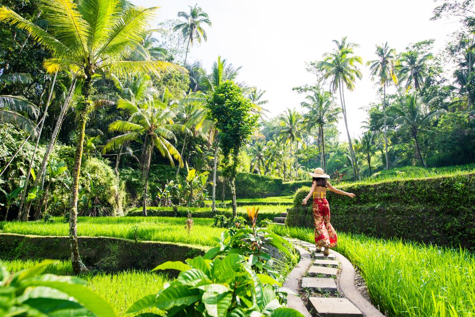 activities in Ubud