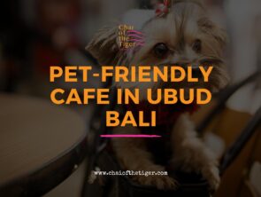 Pet-Friendly cafe in Ubud Bali