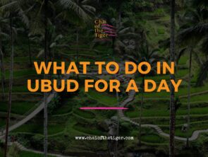 What to Do in Ubud for a Day