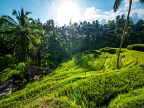 {{brizy_dc_image_alt entityId=