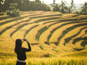 place to visit in ubud